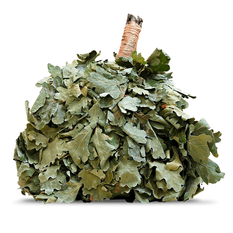 Веник